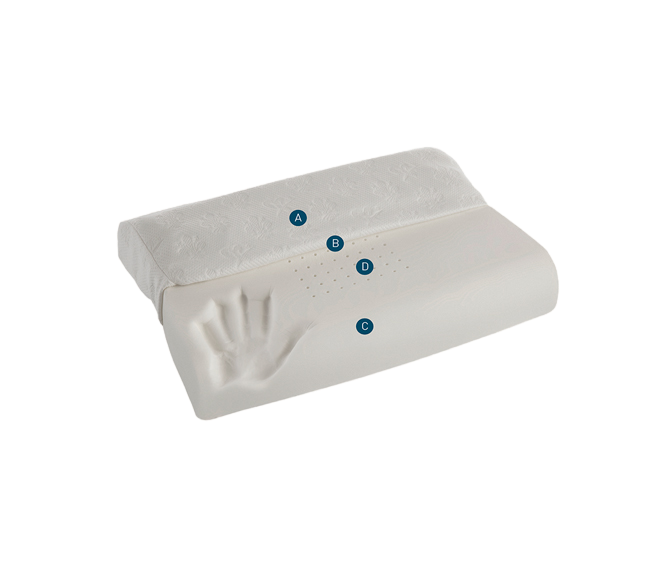 Remove-bg.ai_1691510054908.png